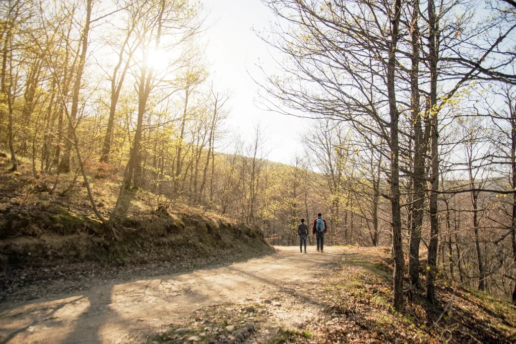 deux marcheurs dans la forêt en hiver